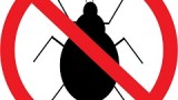 Bug Bounty Program