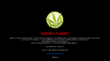 1337day hacked