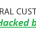 Federal Customs Service
