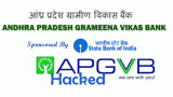 APGVB
