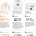 Data Breach Infographic